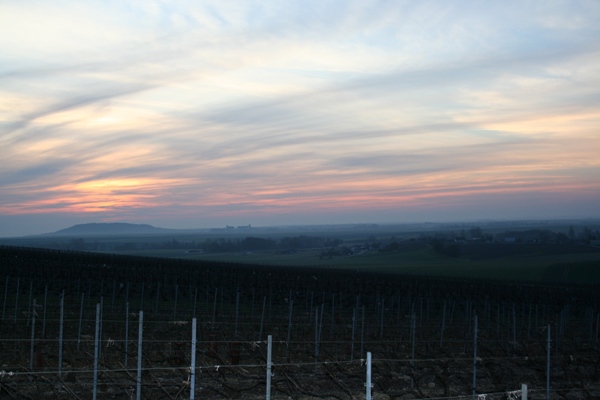 Mars lever de soleil depuis les vignes sur le Mont Aimé