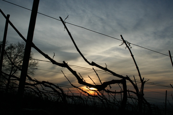Mars lever de soleil pendant la taille