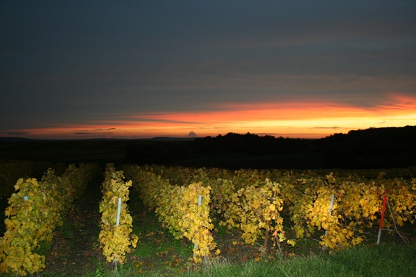 Octobre - Coucher de soleil sur les vignes