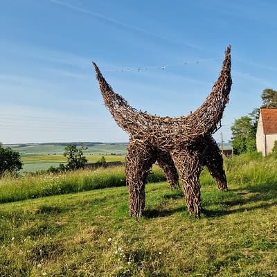 vigneron indépendant en champagne