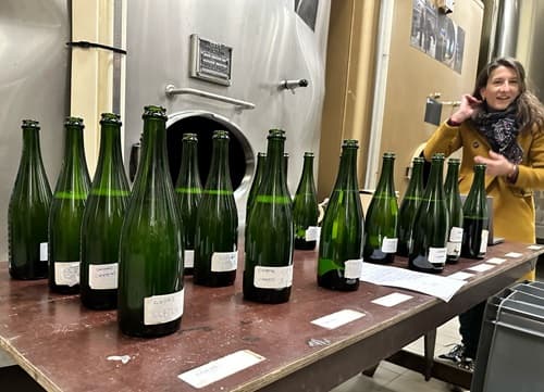 Champagne en direct du producteur