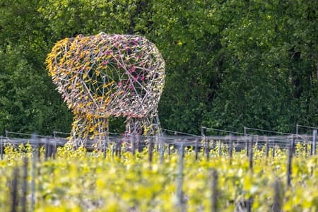 Champagne aux aromes boisés