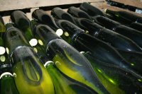 Bouteilles de champagne dans les caves 