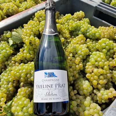 Champagne avec chardonnay