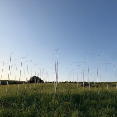 Champagne de vignerons RM