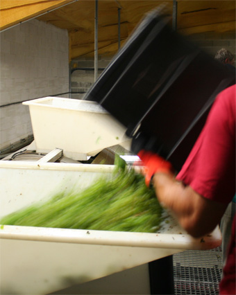 Il faut des muscles chaque cagette pese 50kg