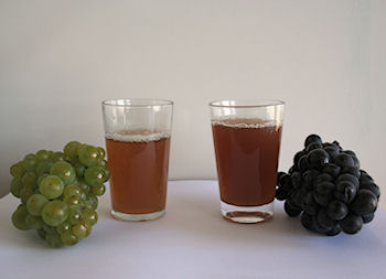 Comparaison d'un jus de raisin chardonnay et d'un pinot meunier en sortie de pressoir
