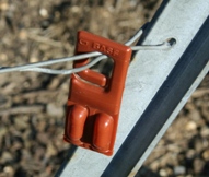 Confusion sexuelle dans les vignes de champagne