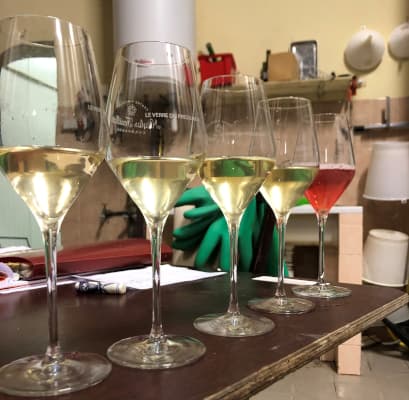 Dégustation de Champagne dans les caves