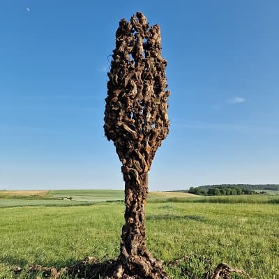 Visite de cave de Champagne epernay