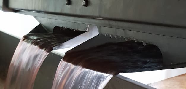 Jus de raisin vendanges en champagne 2021