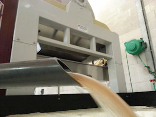 Le jus de raisin a la sortie du pressoir