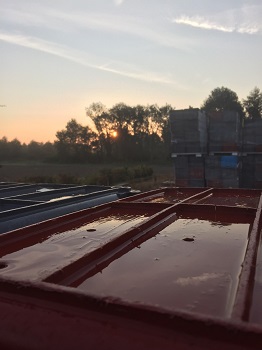 Lavage des caisses de raisin au petit matin