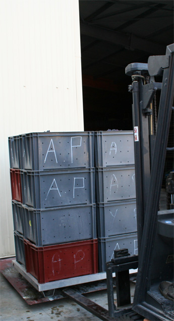 Pesee des caisses de raisin avant de les presser