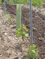 Protection des nouveaux plans