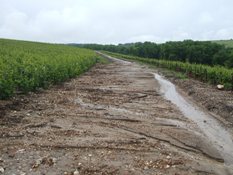 Ravinement dans les vignes de Chezy sur Marne apres l orgae du 14 juin 2009
