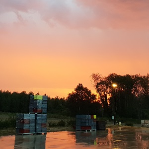 Lever de soleil magnifique sur le quai du pressoir