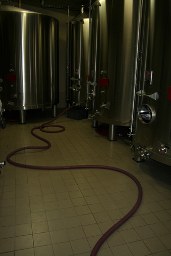 Le jus de raisin est transfere en cuverie