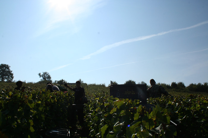 Panier, panier, le porteur doit avoir l oeil