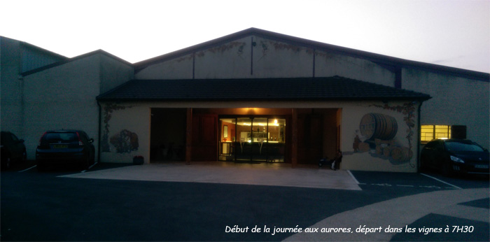 Reveil au petit matin des celliers