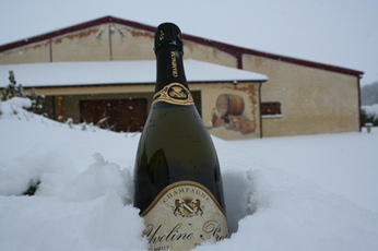 bouteille de champagne brut dans la neige
