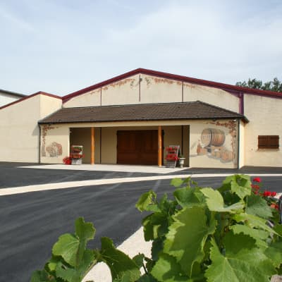 Les caves d un producteur en champagne