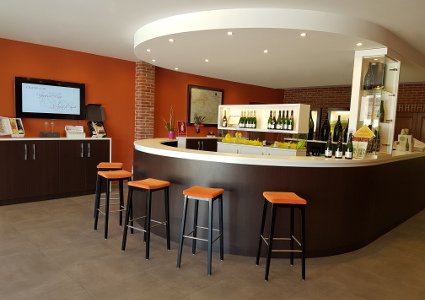 Visite cave de champagne de vigneron indépendant