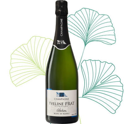 Bottle of Champagne blanc de blancs chardonnay direct from the winemaker RM