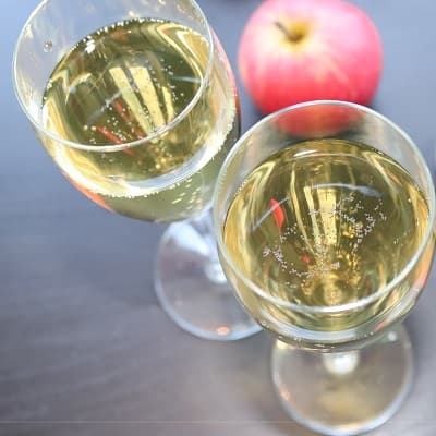 buy champagne premier cru from Cote des blancs