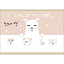 bouteille souvenir pour une naissance fille avec lama rose