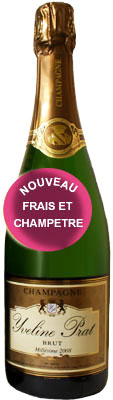 Champagne millesime 2008