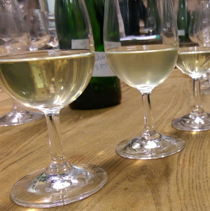 La degustation des vins clairs pour les assemblages de champagne 