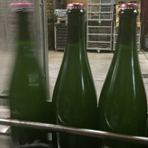 Le champagne est en bouteille! Bientot de bons et délicieux champagnes