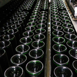 Bouteilles de champagne dans bac a glace