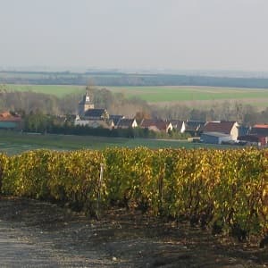 Nos caves dans le petit village de Vert Toulon à coté d Epernay