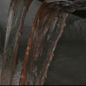 Jus de raisin a la sortie du pressoir