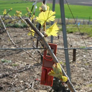 Rack ou dispositif de confusion sexuelle